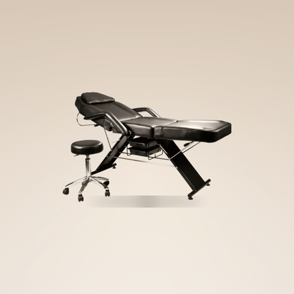 Fiori Deluxe Facial Bed - W.S. Industries, Inc.