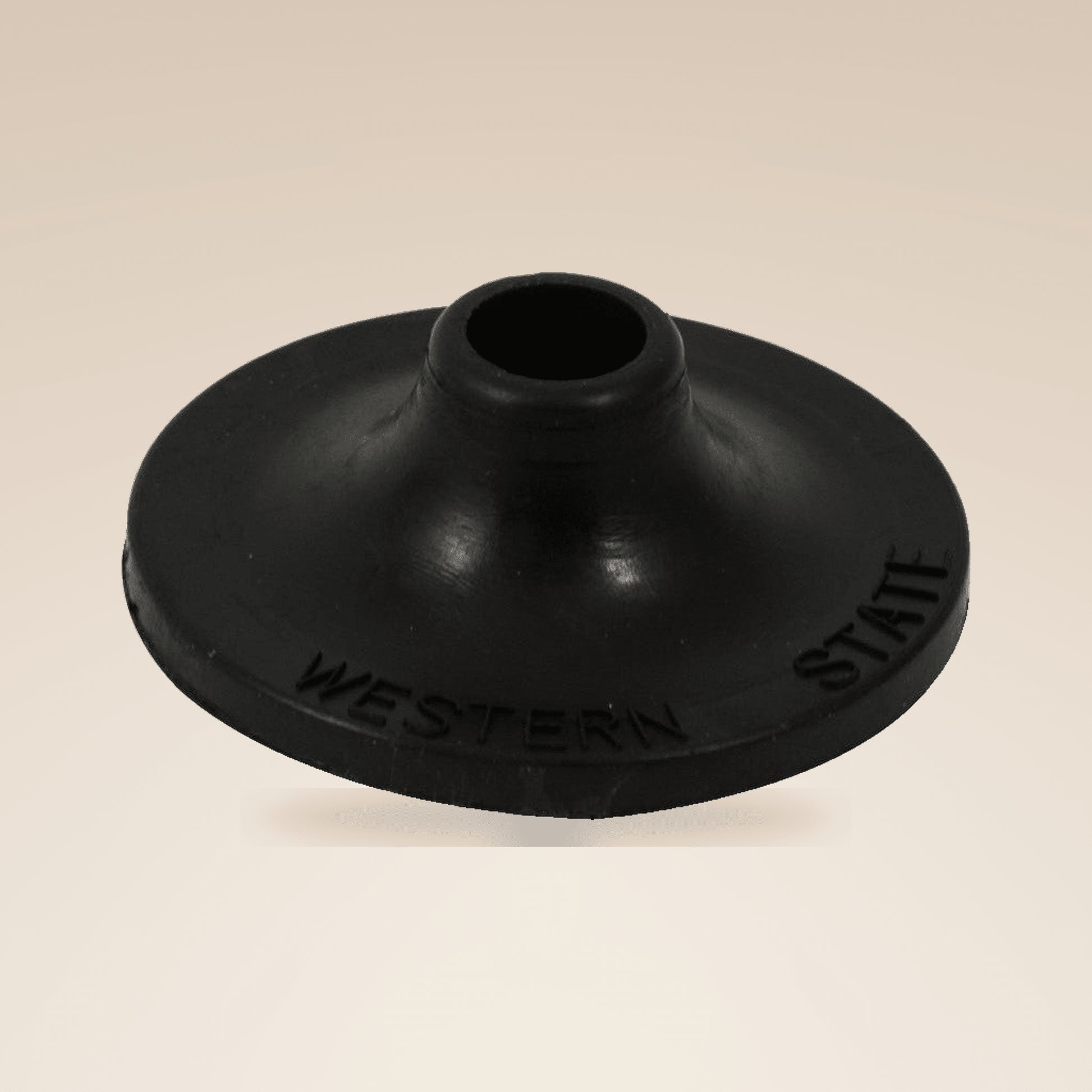 Sanding Disk Attachment - W.S. Industries, Inc.